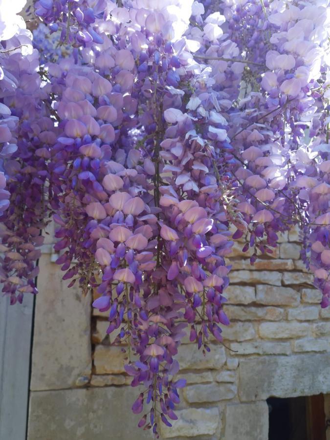 Wisteria Cottage Les Adjots Eksteriør bilde